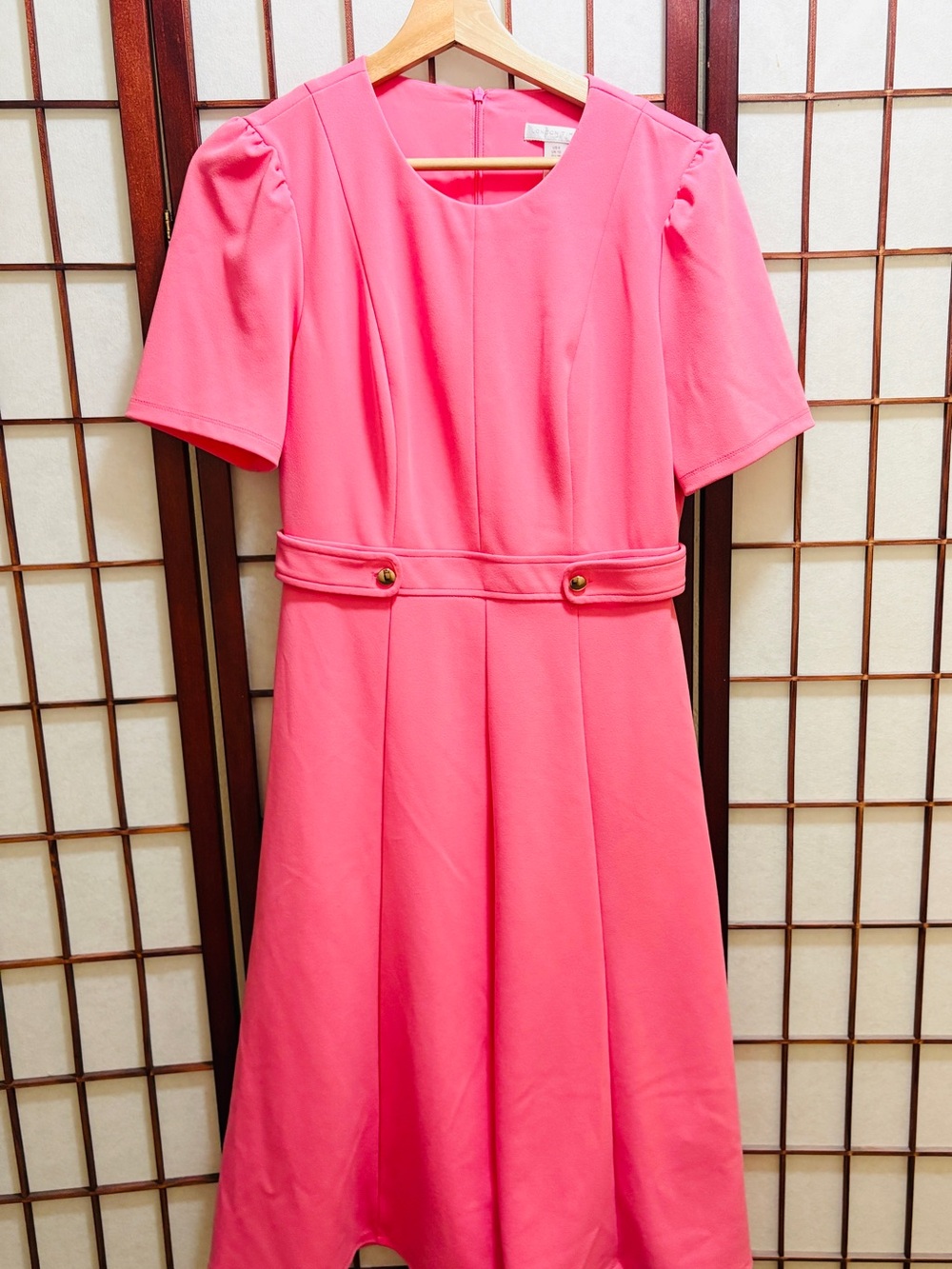 Pretty In Pink Dress A Line Dress- London Times